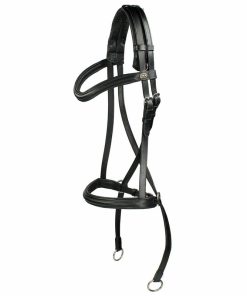 Bridle