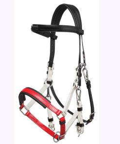 Bridle