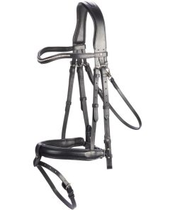 Bridle