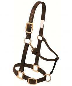 Halter