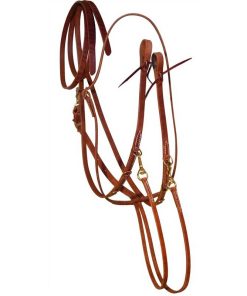 Reins