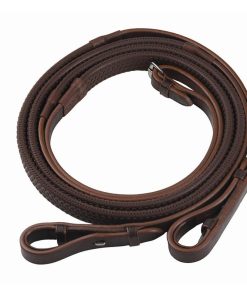 Reins