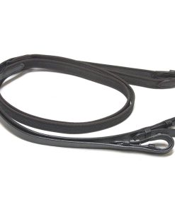 Reins